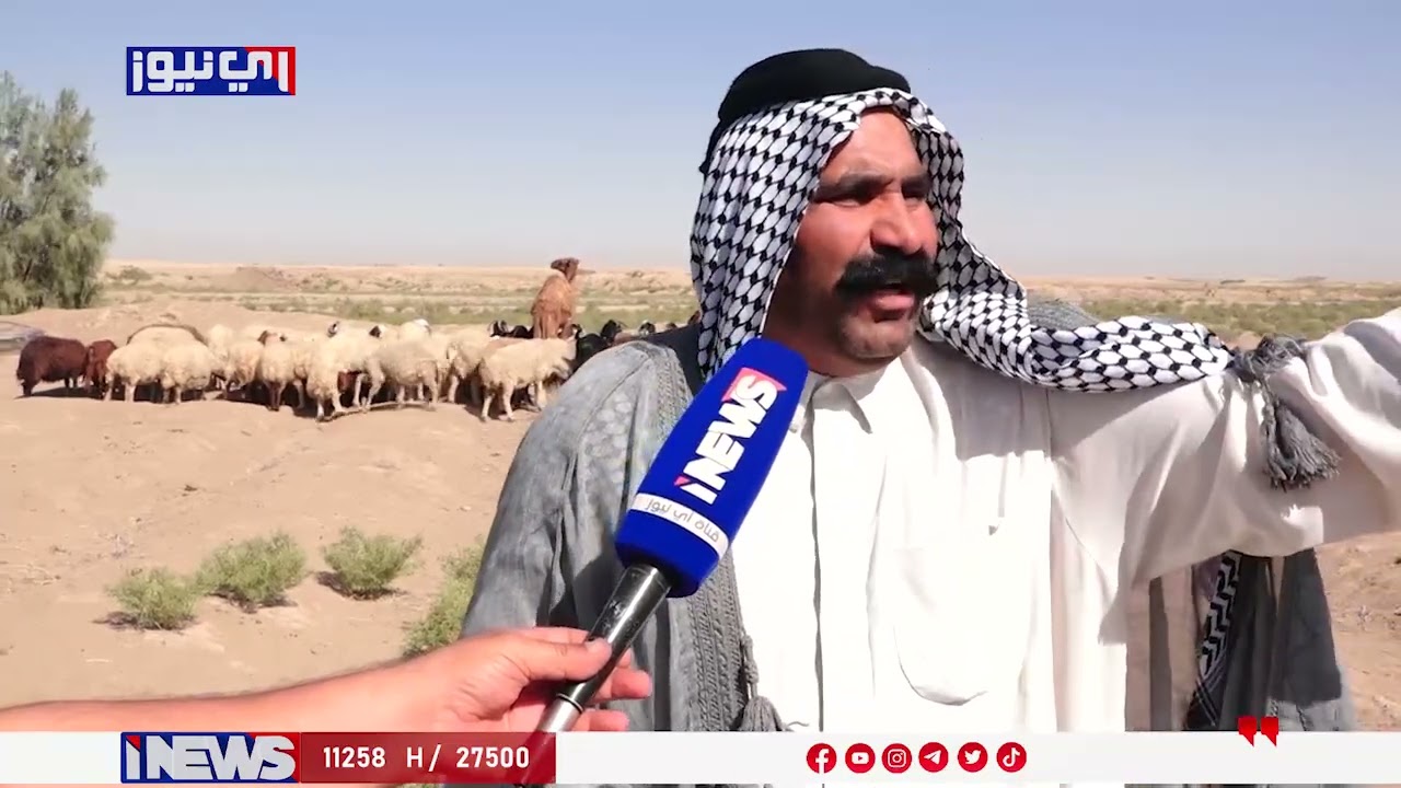 نتيجة لسياسات تركيا.. شحة المياه والجفاف يدمران هور الدلمج في محافظة الديوانية - تقرير محمد اسماعيل