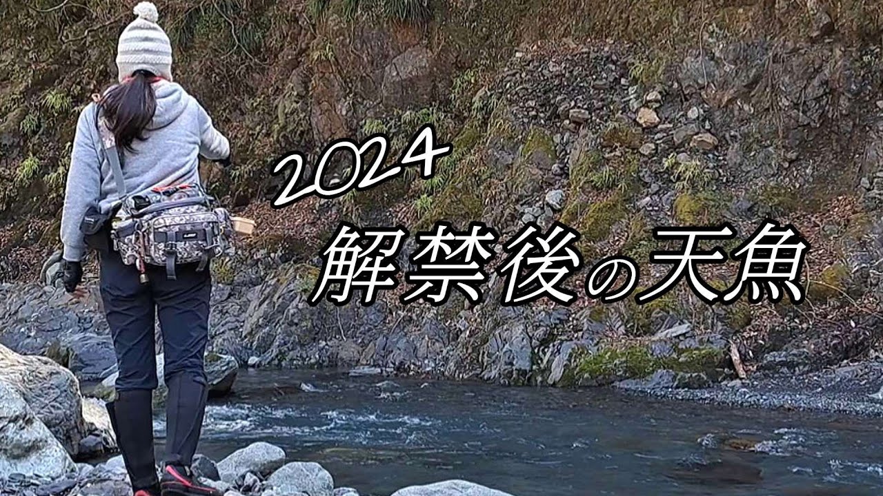 解禁10日後、極寒アマゴ釣り。だから釣りは面白い