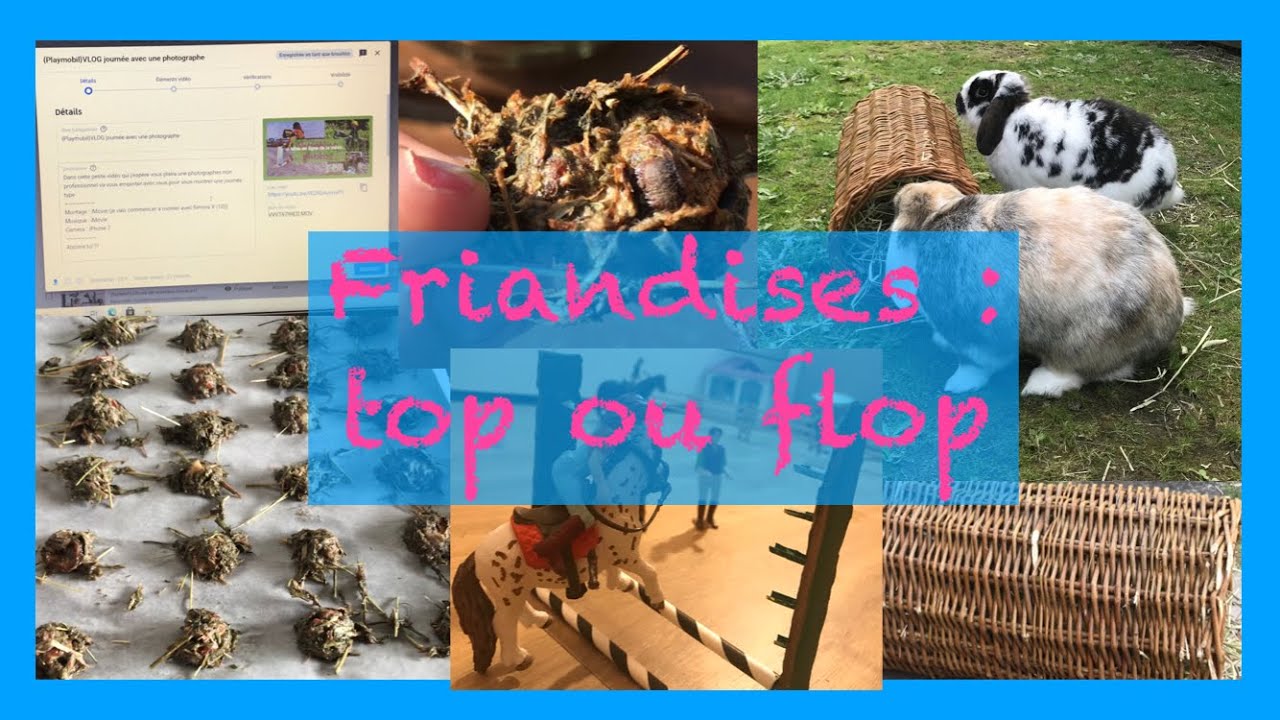 {VLOG}Un week-end avec moi(routine lapin, friandise, rangements du CE...)