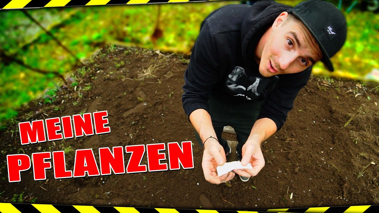 Ich Bau endlich an...🥦