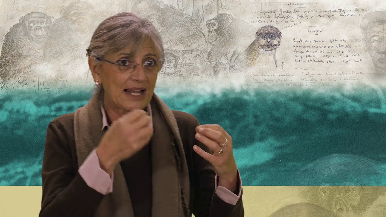 L'art de la ciència. Jordi Sabater Pi