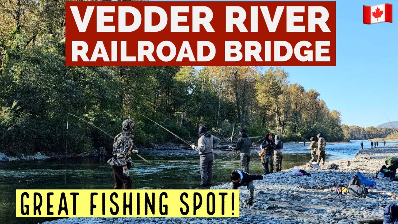 178🇨🇦 Chilliwack fishing spot at Vedder River Railroad Bridge