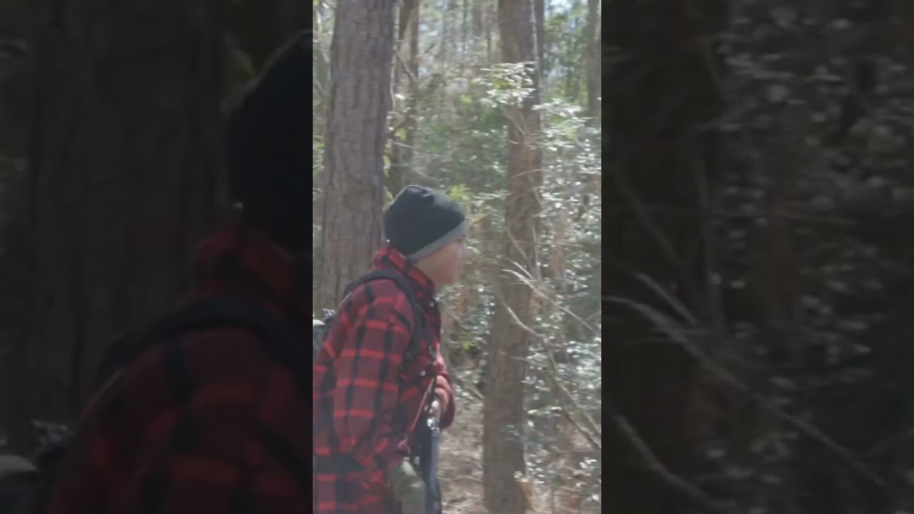 Never Go Into the Woods Alone