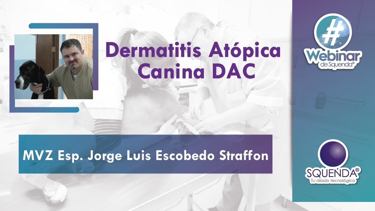 Dermatitis At&oacute;pica Canina DAC - MVZ Esp. Jorge Luis Escobedo Straffon