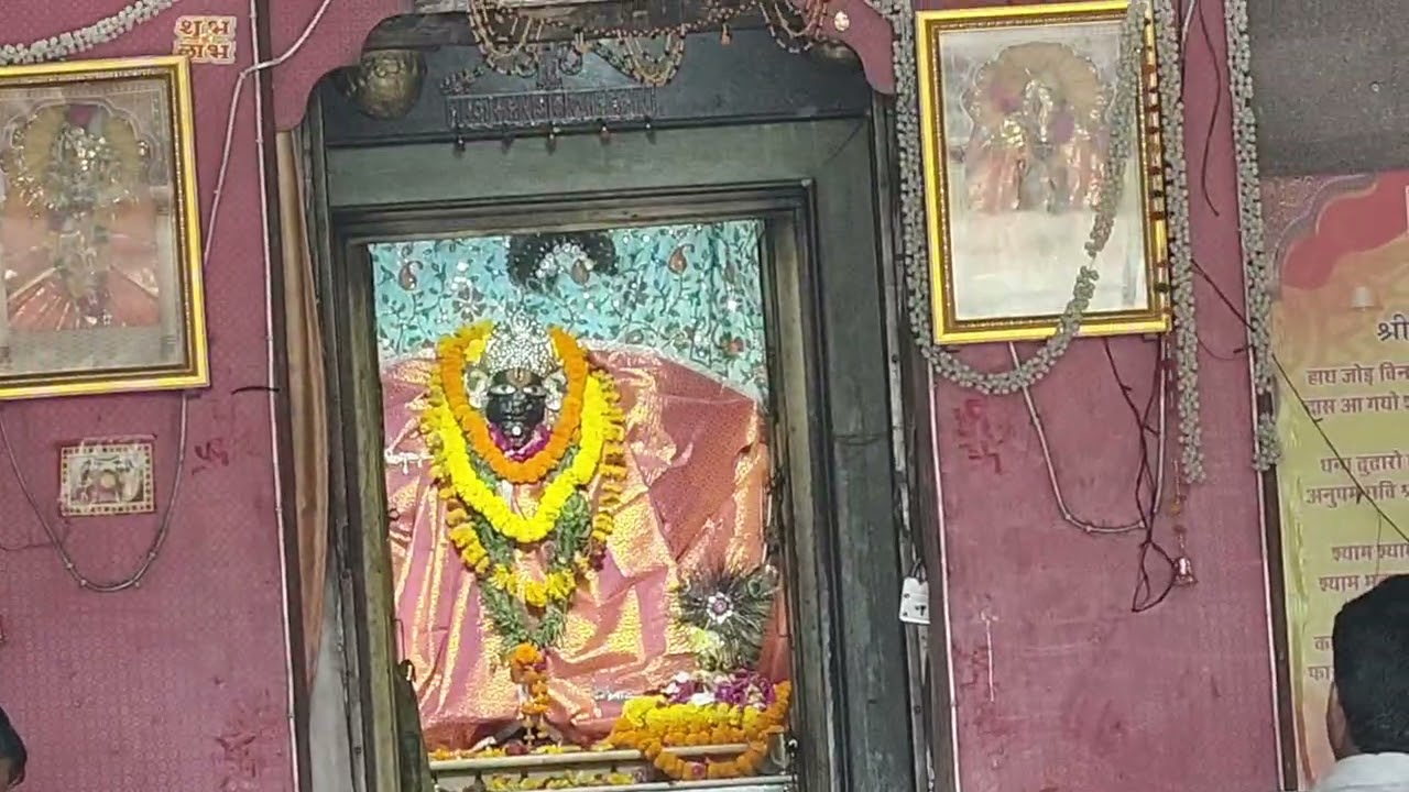 सांवरा सेठ करनावर बांदीकुई || sanvra Seth bandikui #bandikui #viralvideo