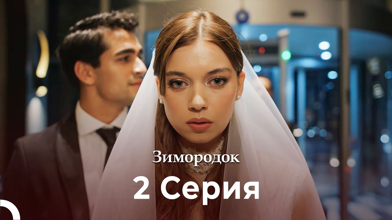 Зимородок 2 Cерия (Русский дубляж) (4K)