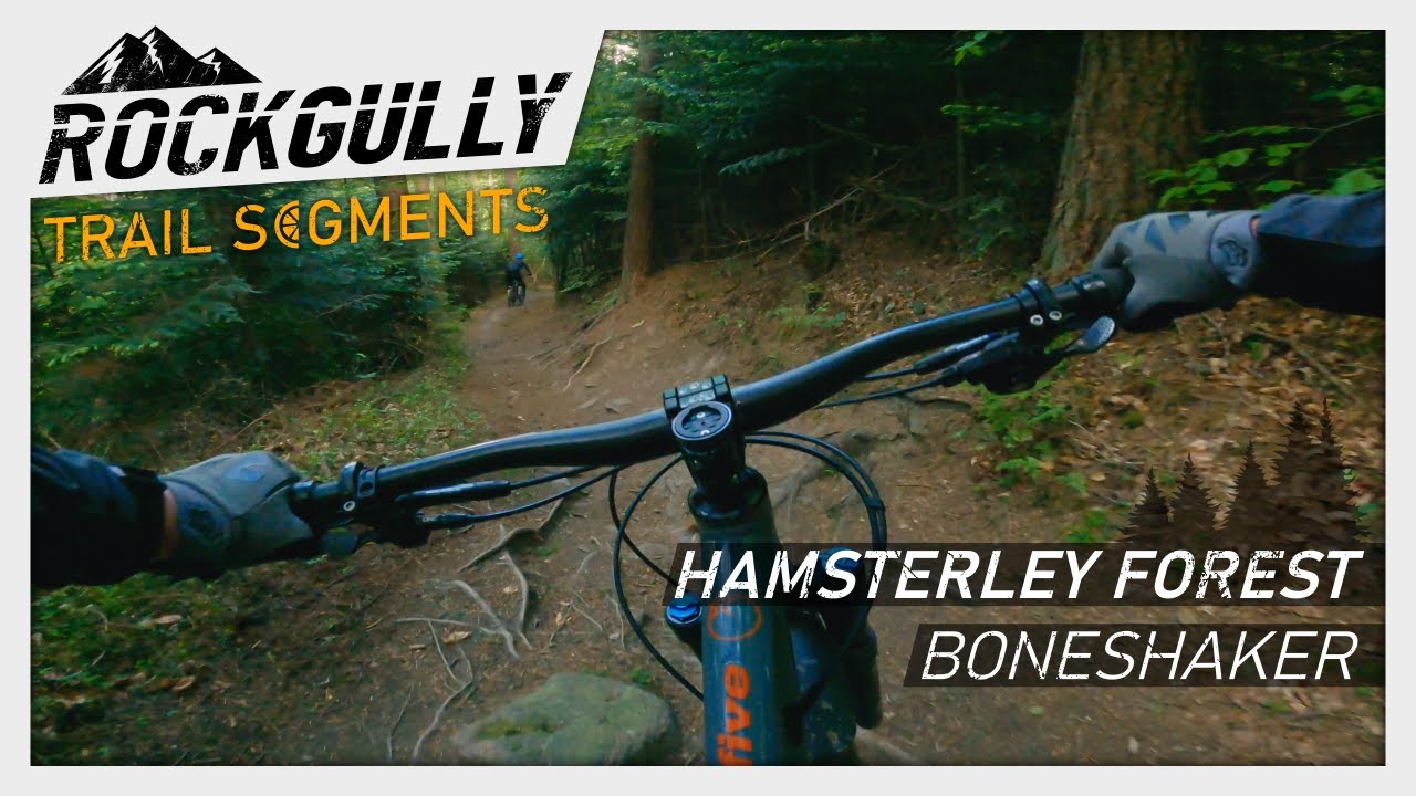 Hamsterley Forest Trail Segments - Boneshaker Black Section