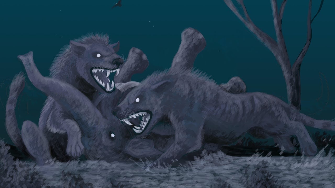 The Insane Evolution of Hyaenodonts