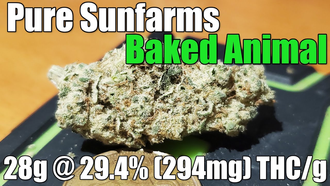 Pure Sunfarms - Baked Animal - Unboxing Review - 28g @ 29.4% (294mg) THC/g (+Extreme Closeups)