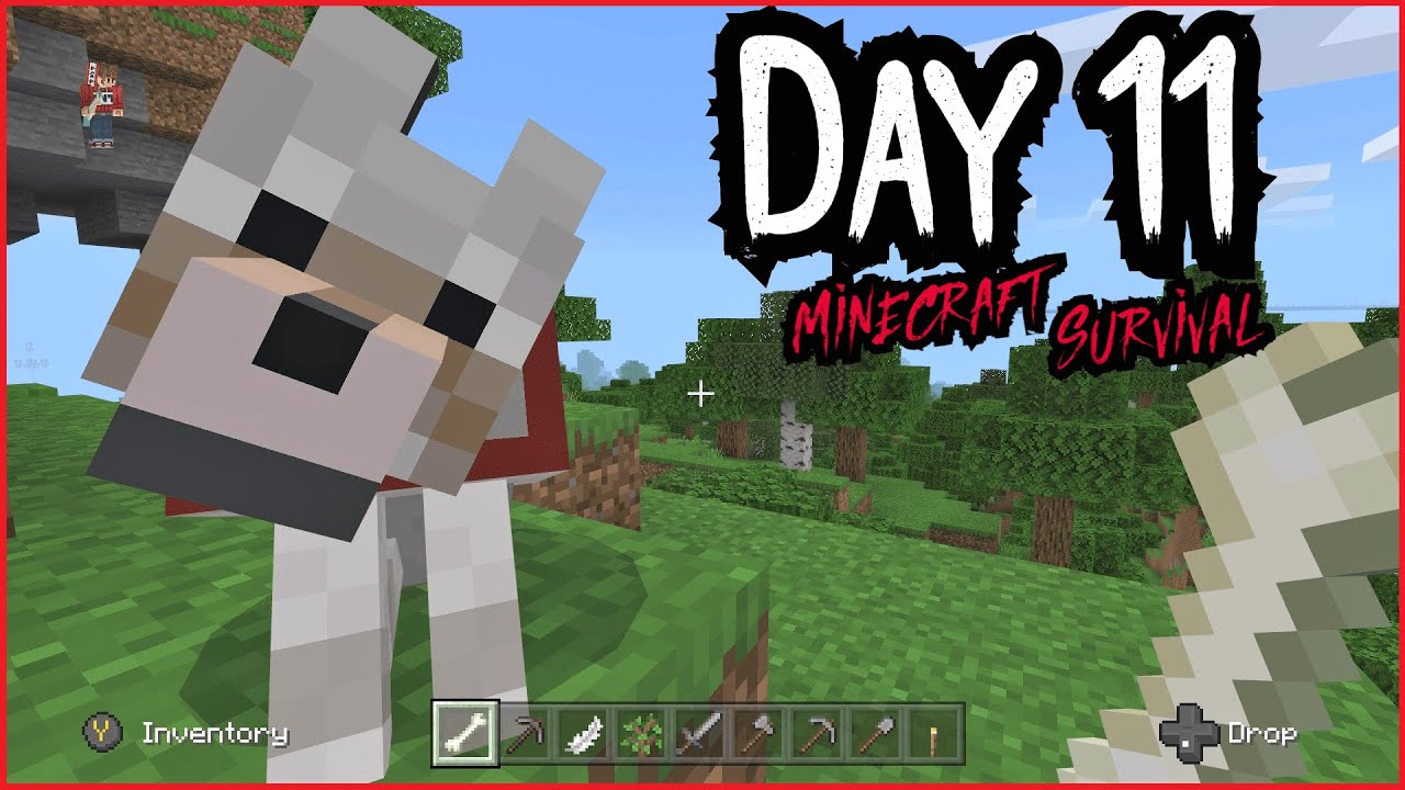 Surviving First 100 Nights Friend a Wolf & Rescue a Horse  Minecraft Survival Day 11