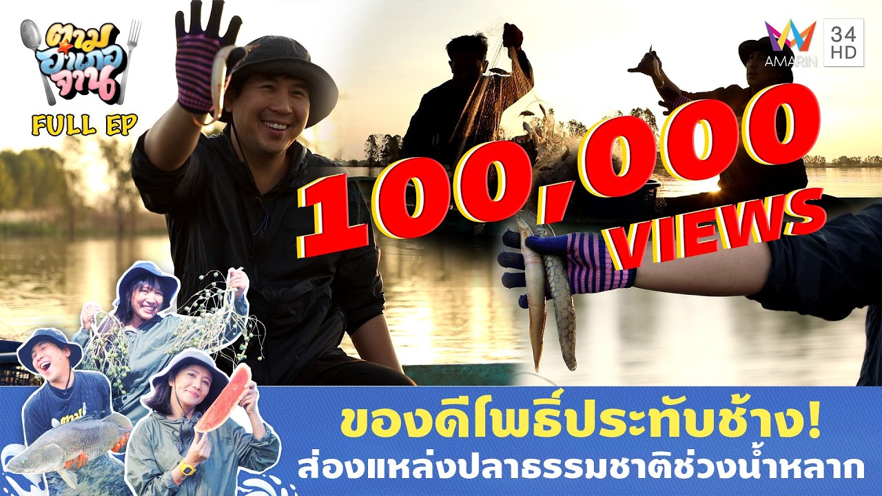 หาปลานาช่วงน้ำหลาก อ.โพธิ์ประทับช้าง จ.พิจิตร | ตามอำเภอจาน | 13 ม.ค. 69 Full EP