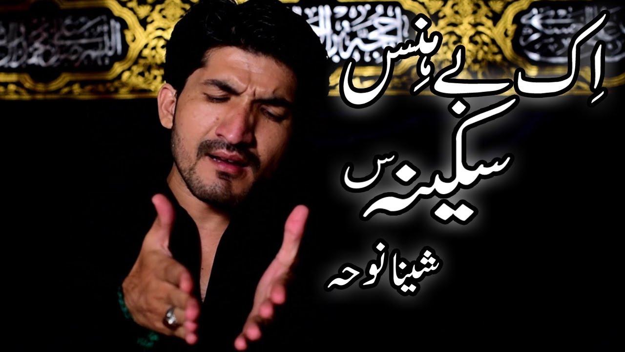 Shina Noha Bibi Sakina sa || Saleem Raza Nagri