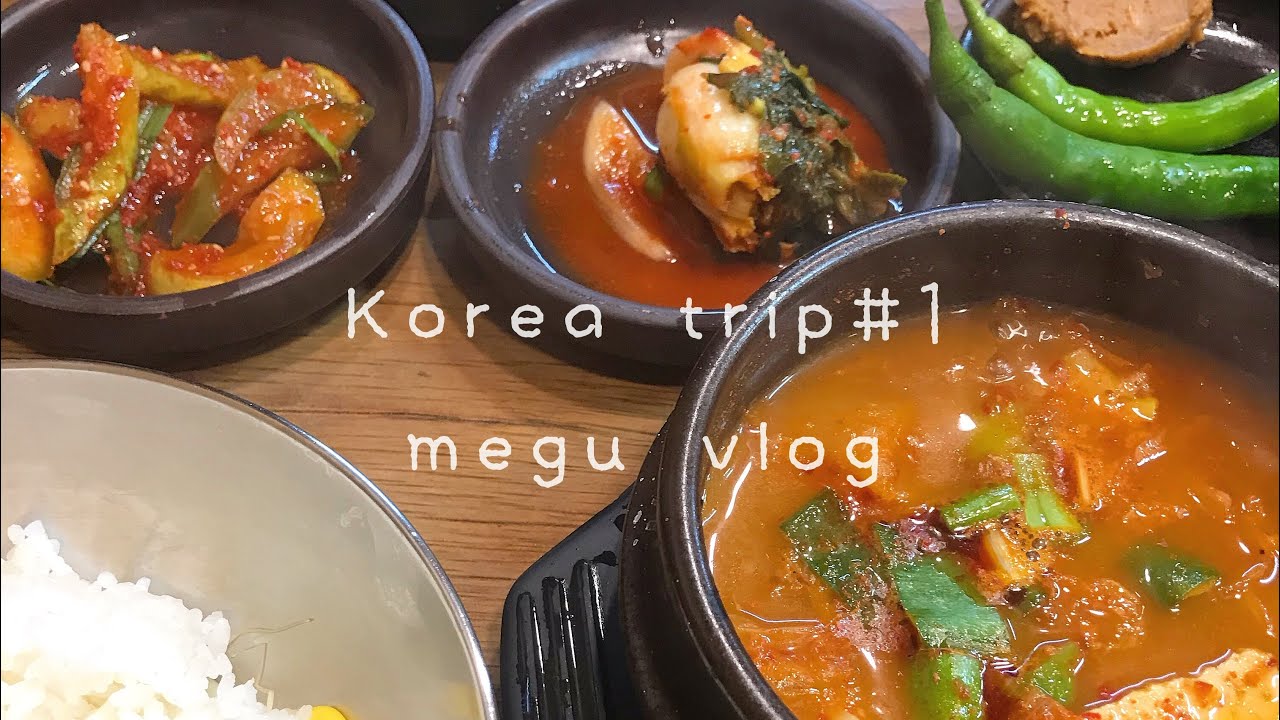 【vlog/韓国旅行/ひとり旅 】おすすめチキン【#1】