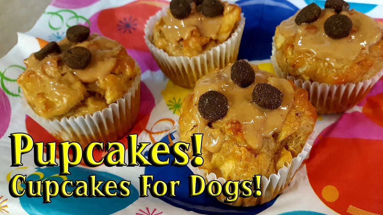 Pupcakes Recipe (4-ingredients!) - Easy Home Baked Cupcakes For Dogs!