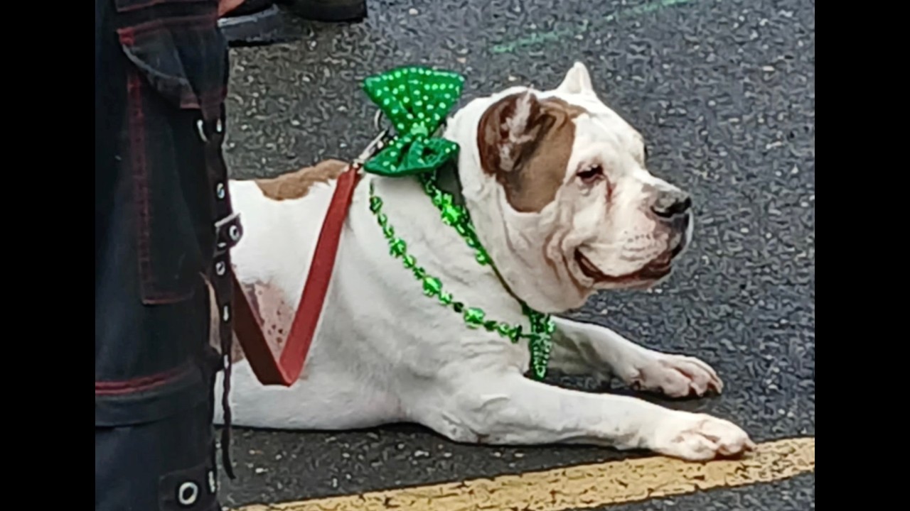 Asbury Park St. Patrick's Parade, Representing Brookdale Community College!