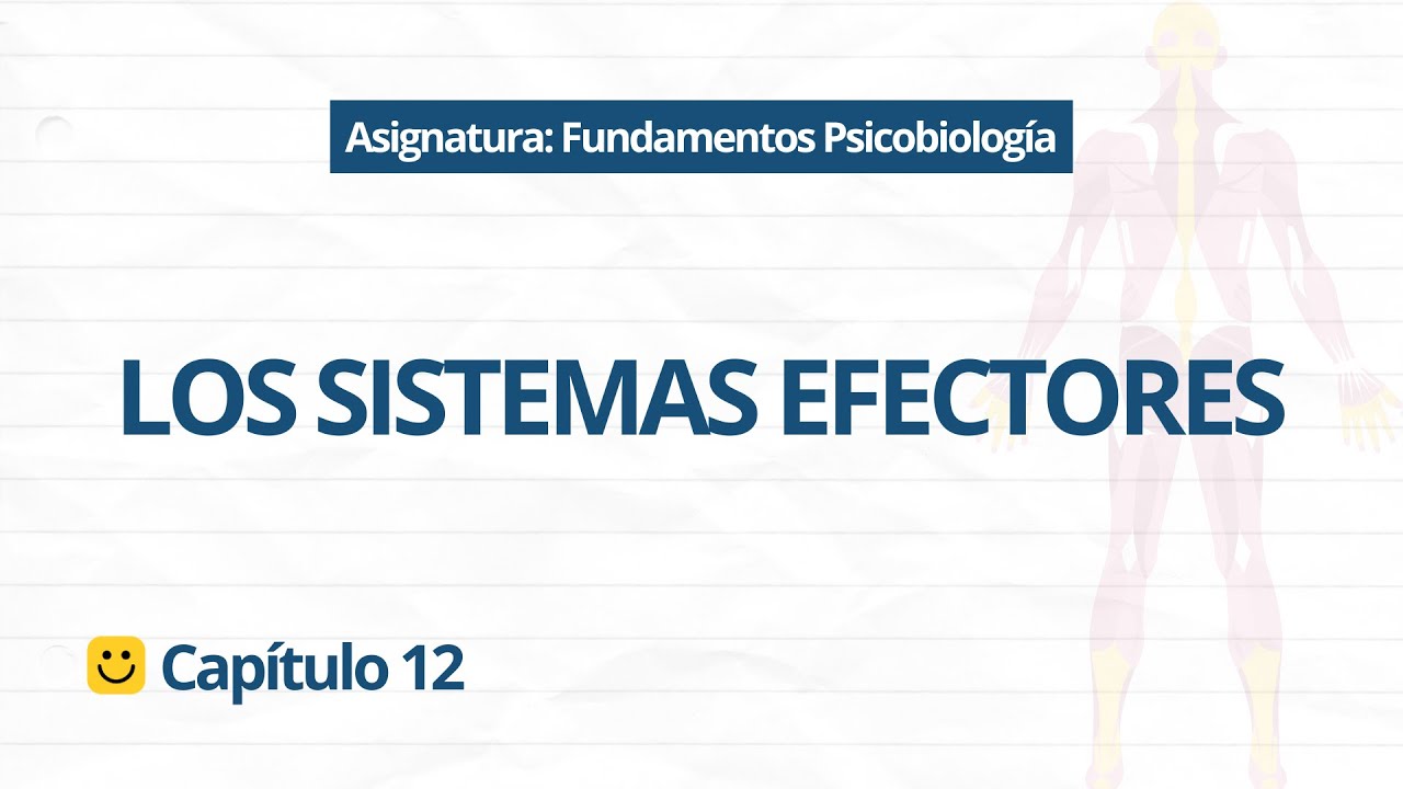 🦾 Cómo MUEVES tu cuerpo (sin pensarlo) | Psicobiología - Cap. 12