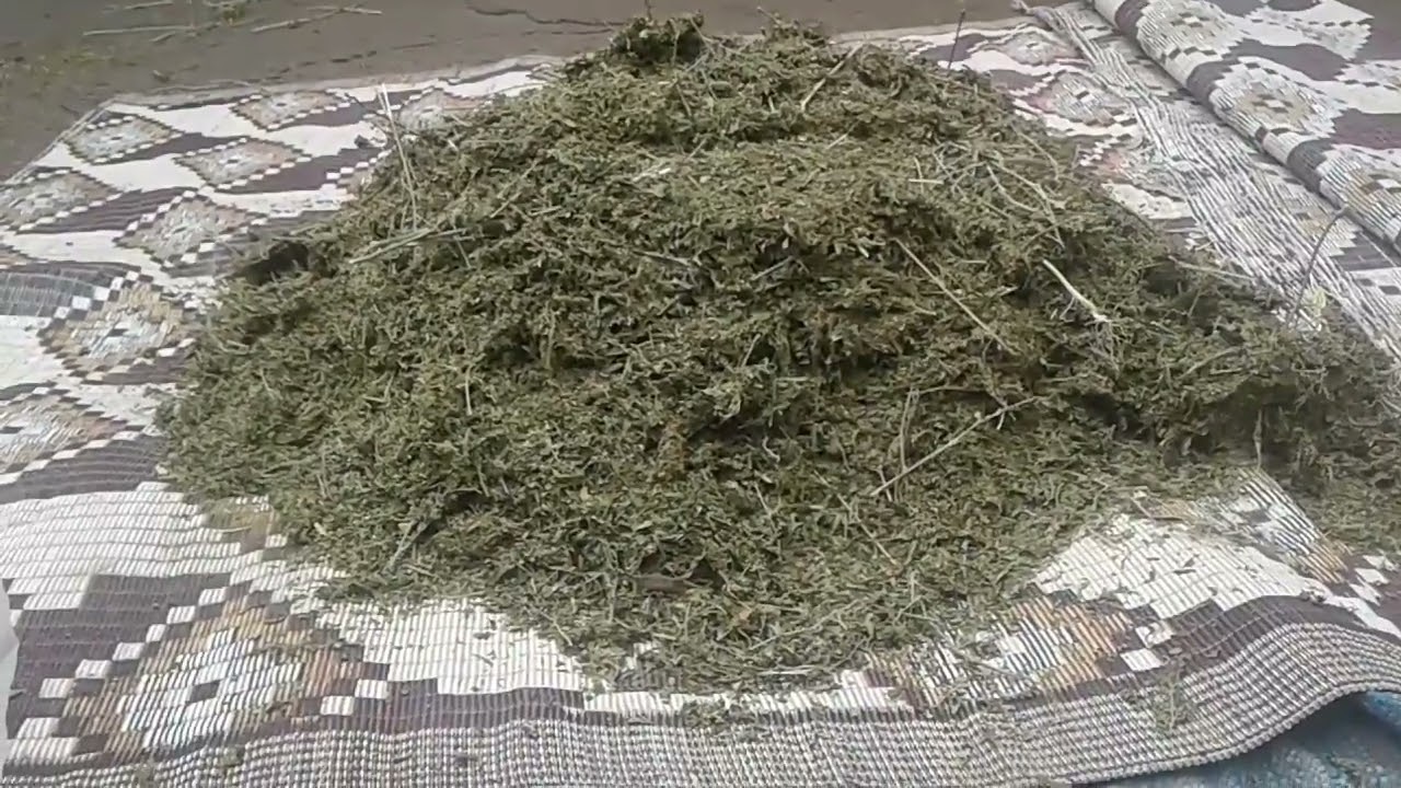 Best way to produce powder 