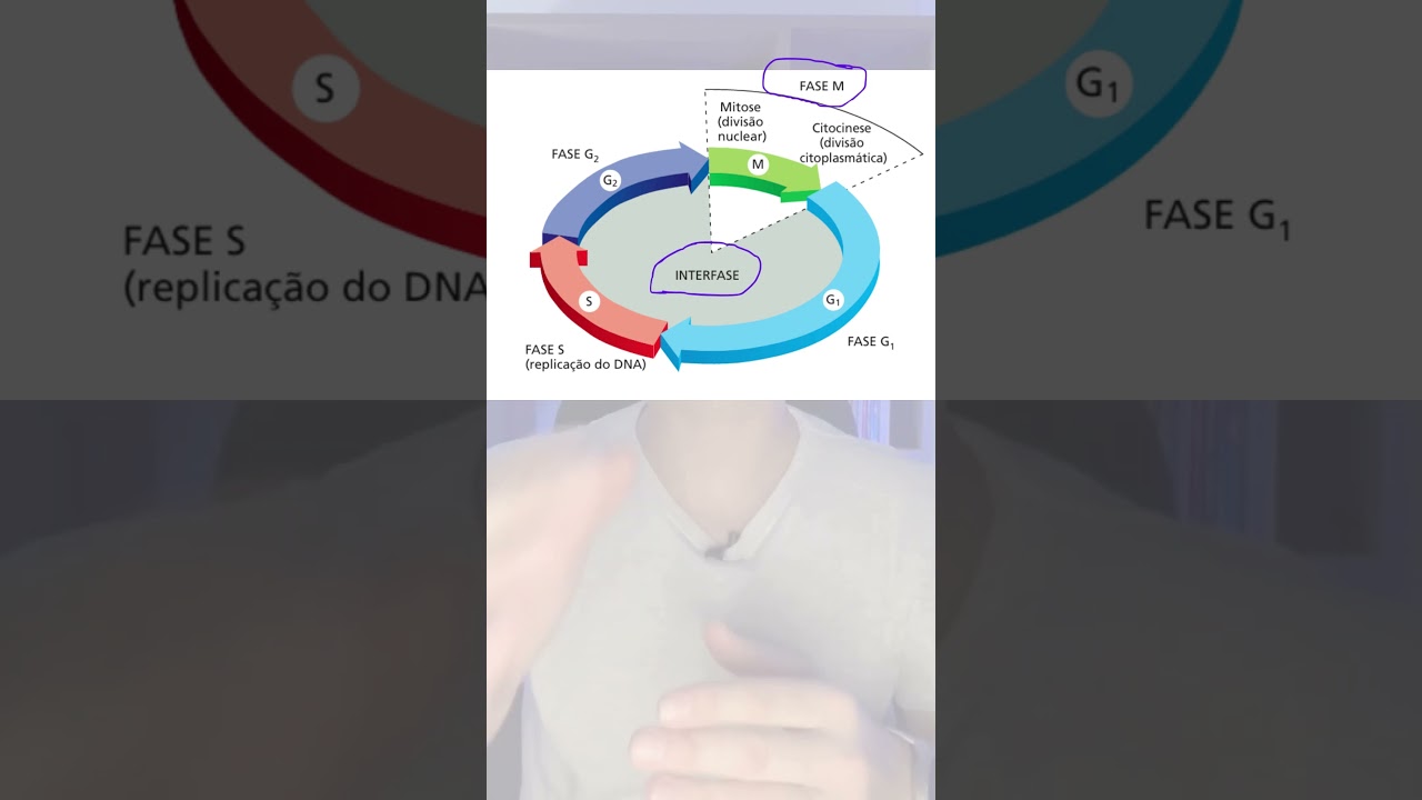 CICLO CELULAR: RESUMO -Prof. Diego Reinicke #education