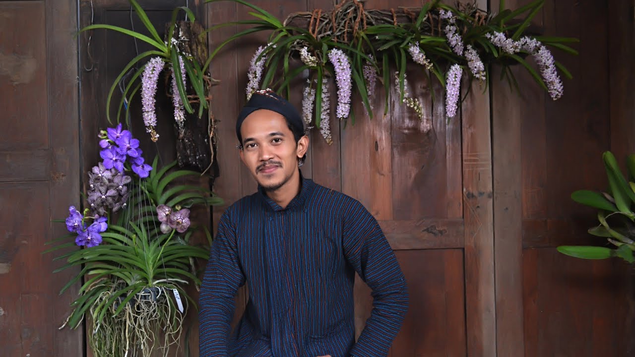 Anggrek Ekor Tupai, Rhyncostylis retusa