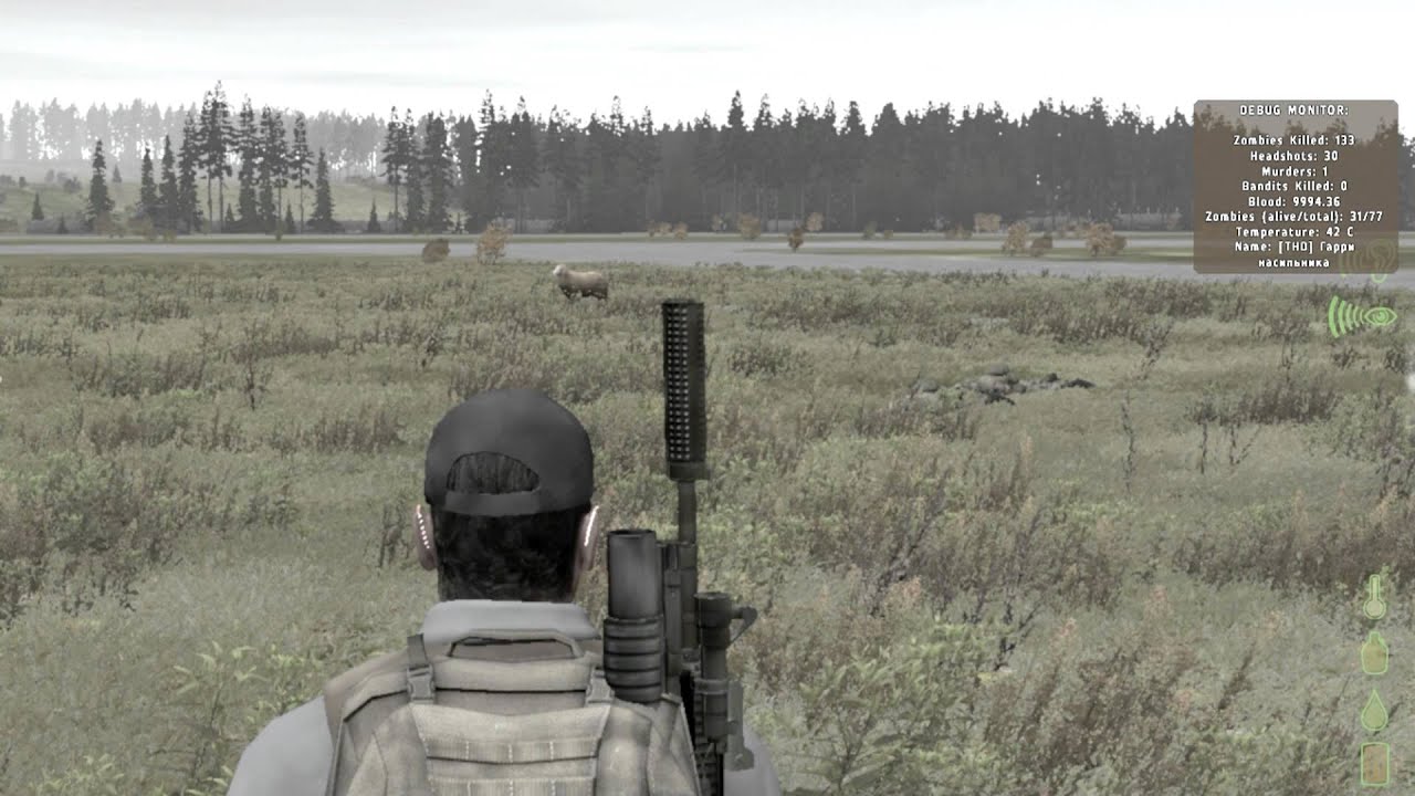 DayZ - Ba ba black sheep have you any C4...