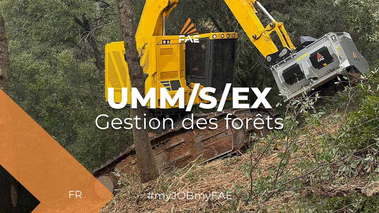 Broyeur forestier FAE avec rotor a outils fixes, pour les excavateurs jusqu’à 40 t