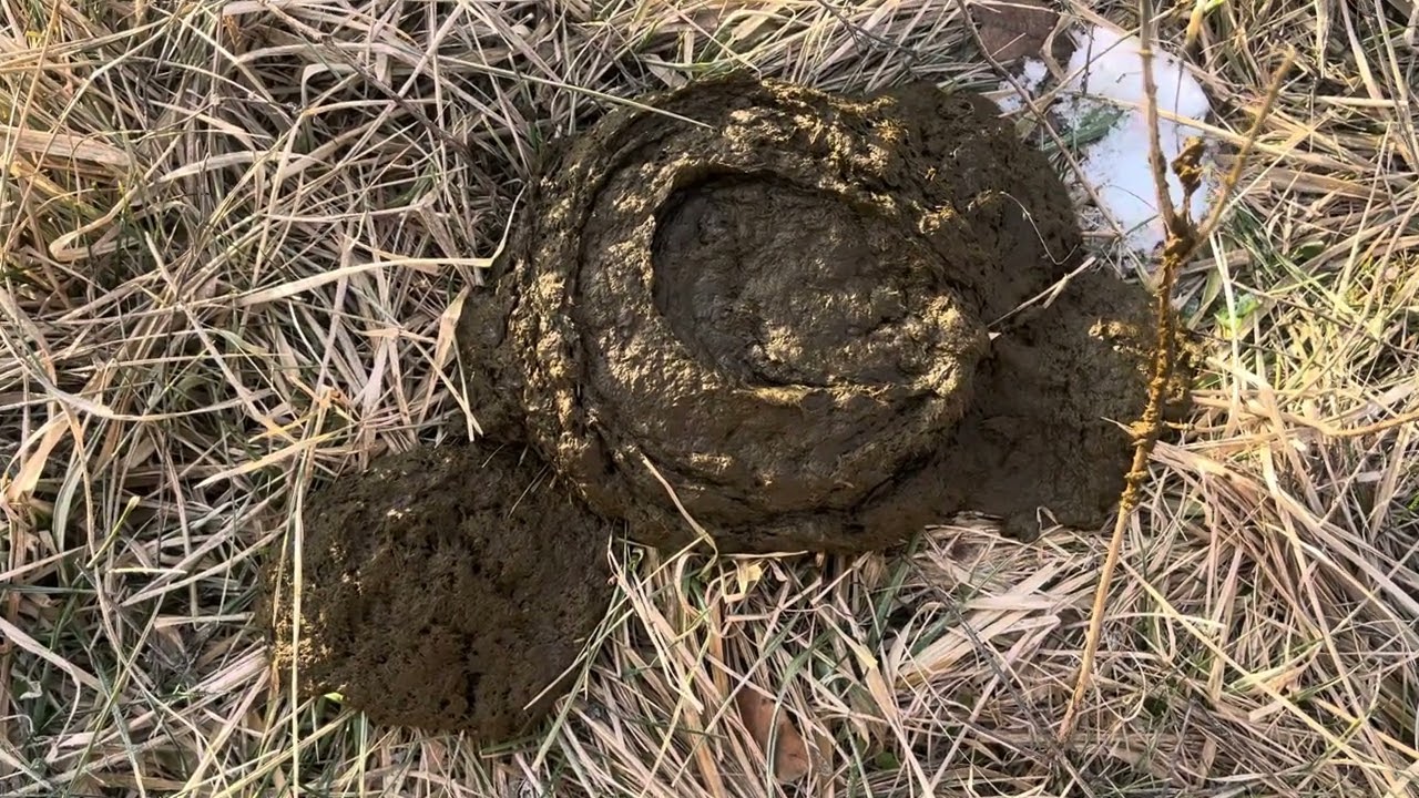 Greg gives you some very important items to focus on to make your livestock farm profitable.
