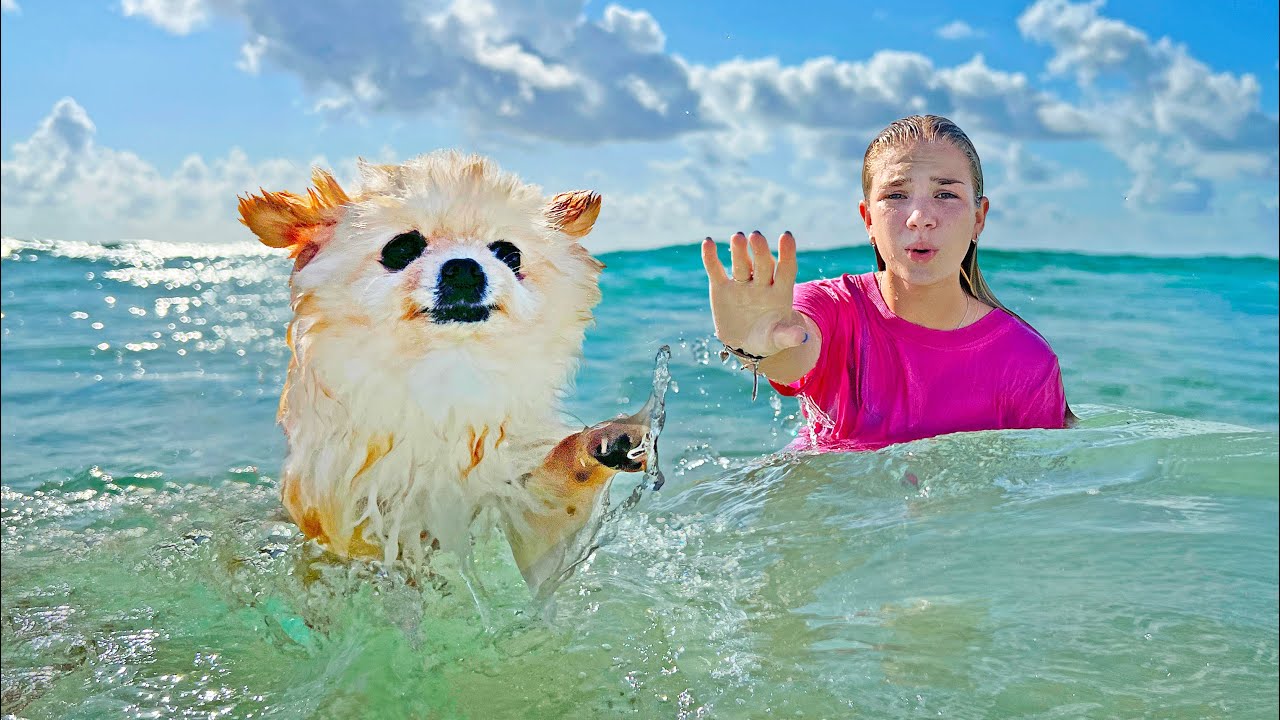 Maggie and Shanti in the sea