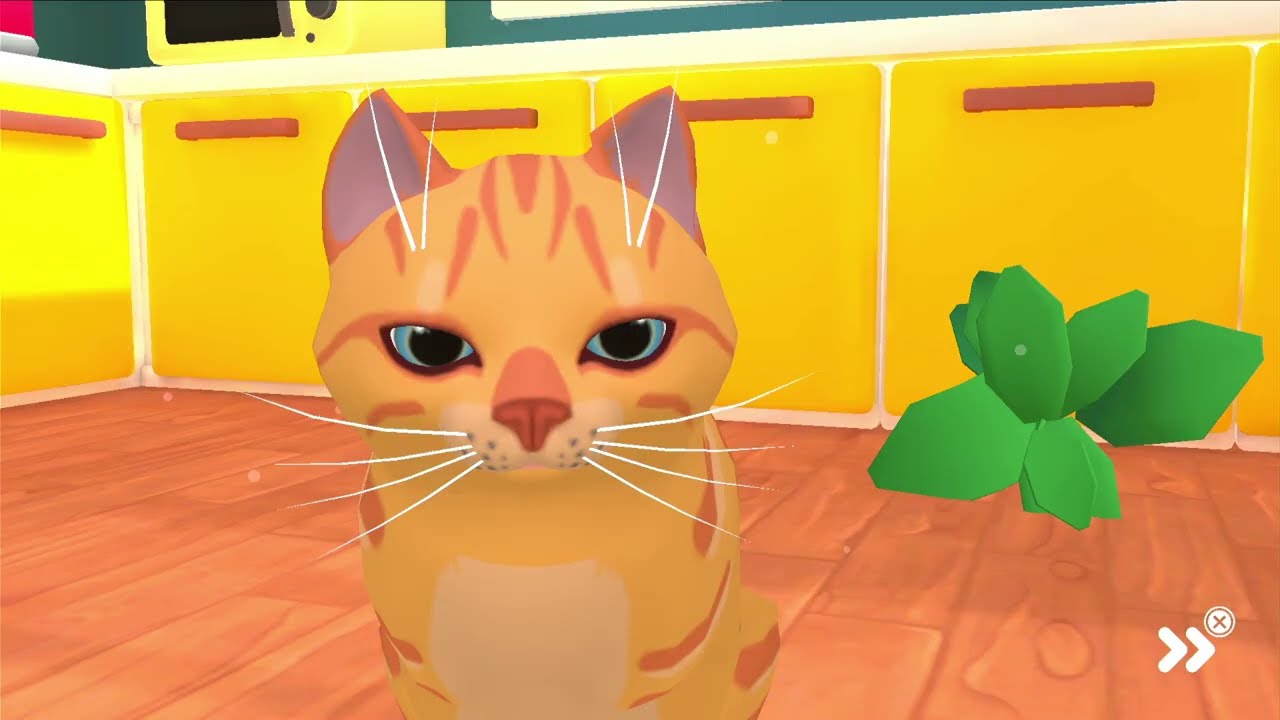 catfrom hell