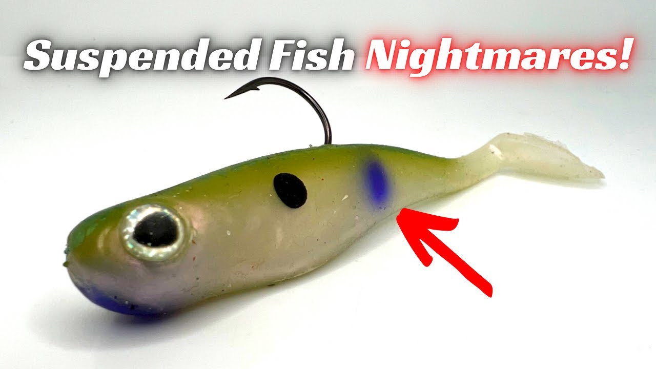 Suspended Fish Can Be A NIGHTMARE To Catch! But Not With These Baits!