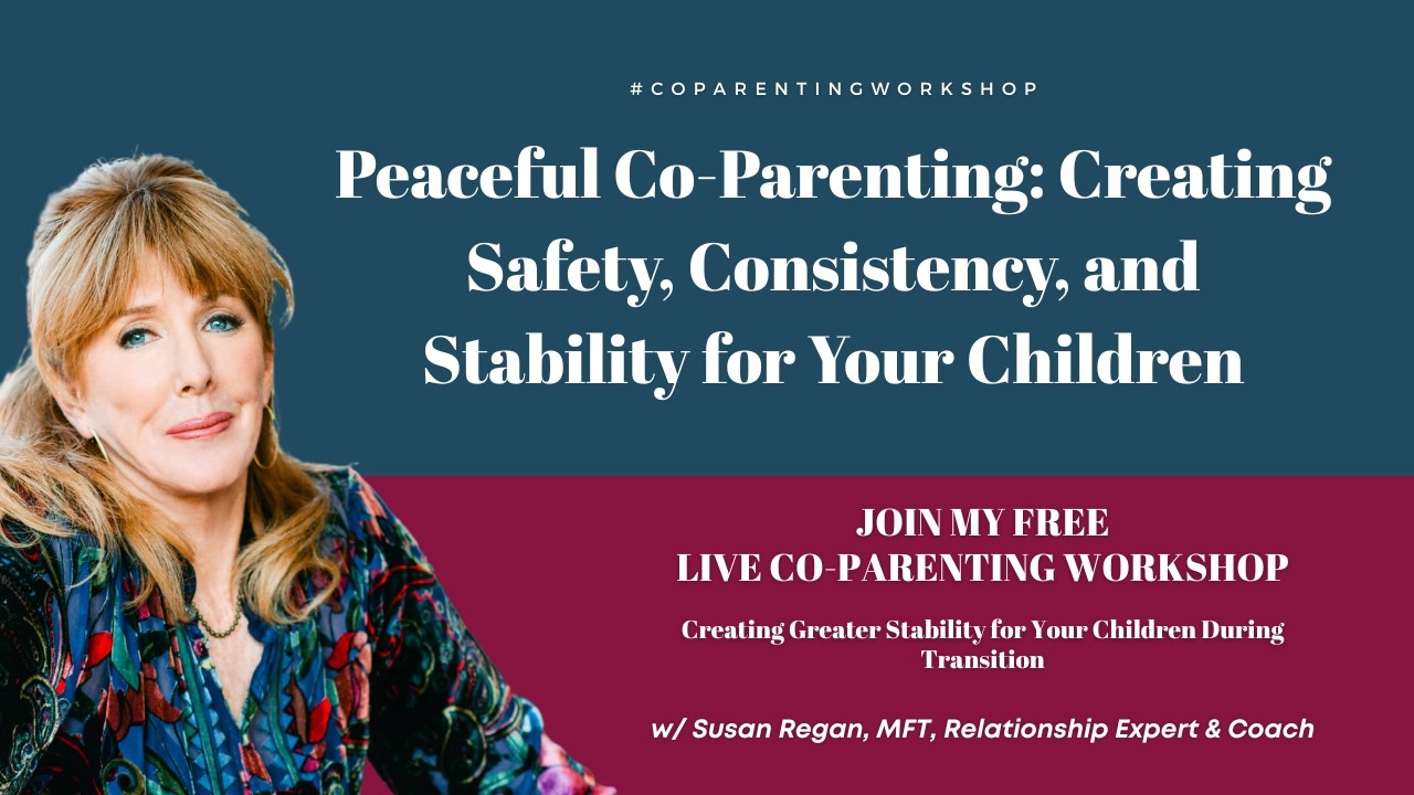 Peaceful Co-Parenting: Creating Safety, Consistency, and Stability for Your Children (Workshop)