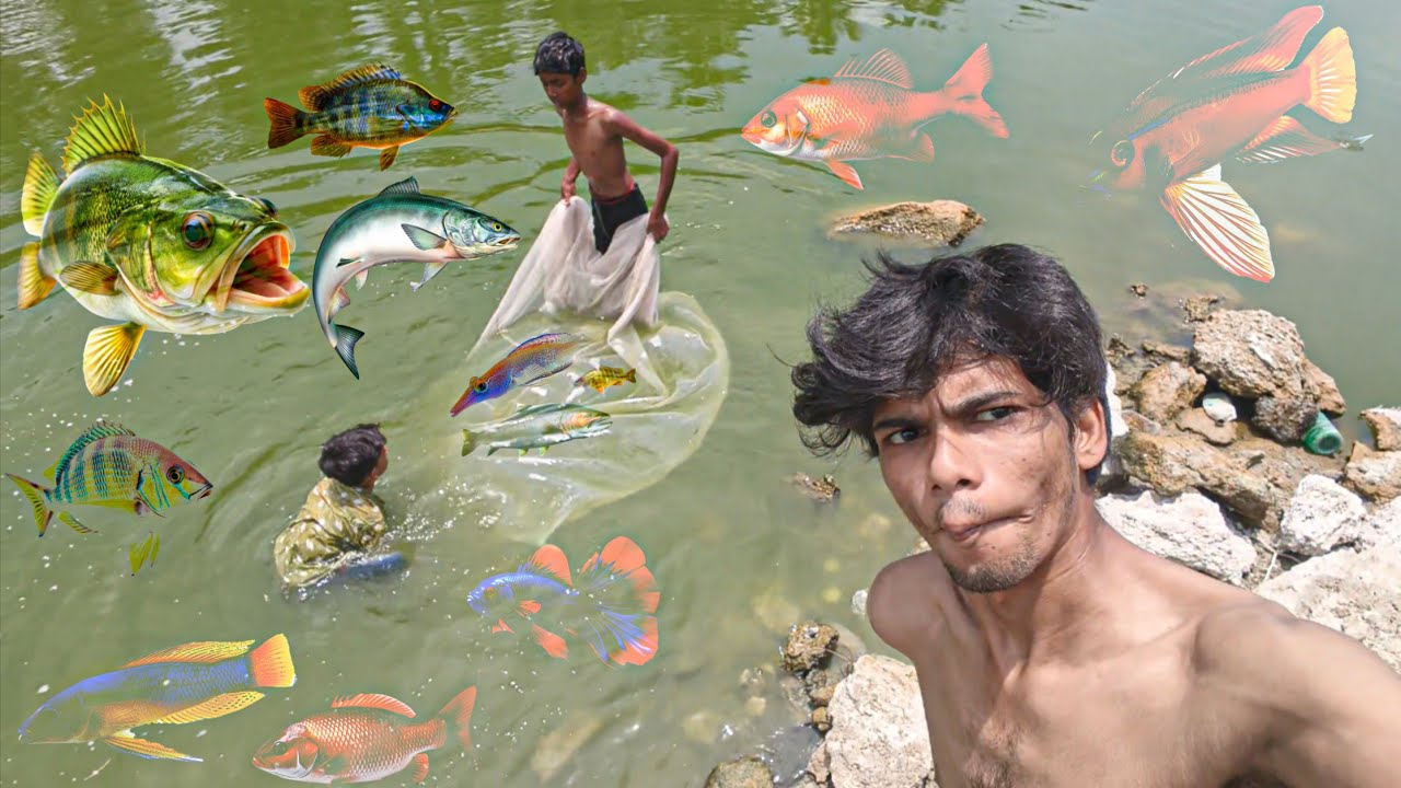 lot of i will catch fishing in Lake
