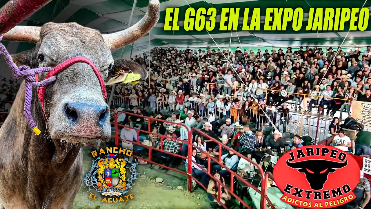 1er Expo Jaripeo RANCHO EL AGUAJE San Juan del Rio Queretaro