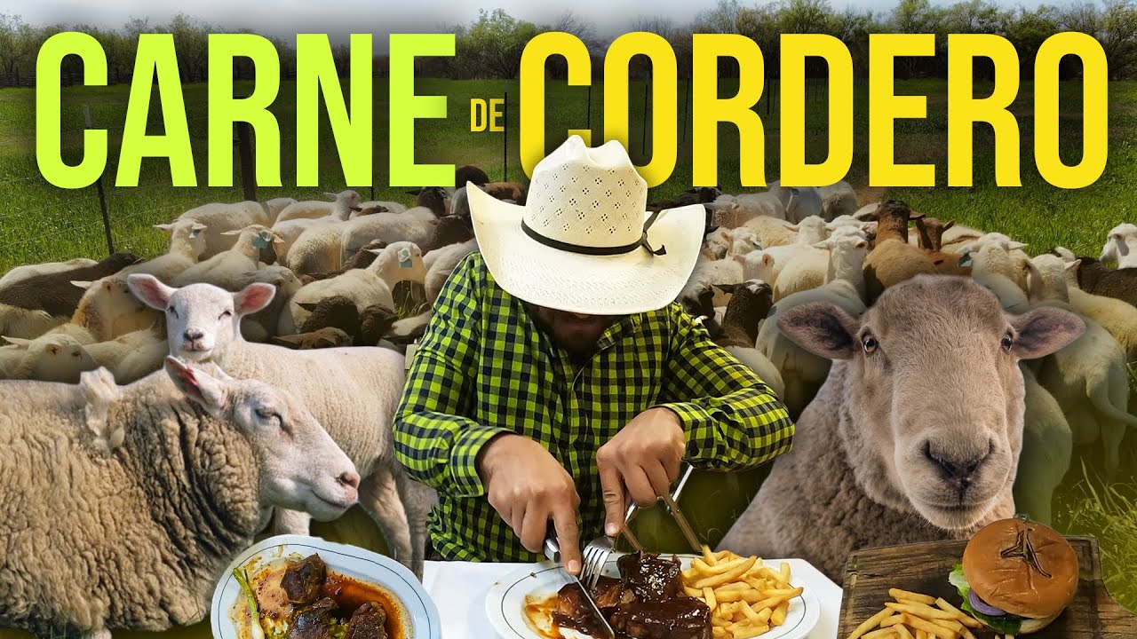 LA CARNE de CORDERO en Sonora 🐑 | La crianza del GANADO y los ALIMENTOS que llevan cordero.