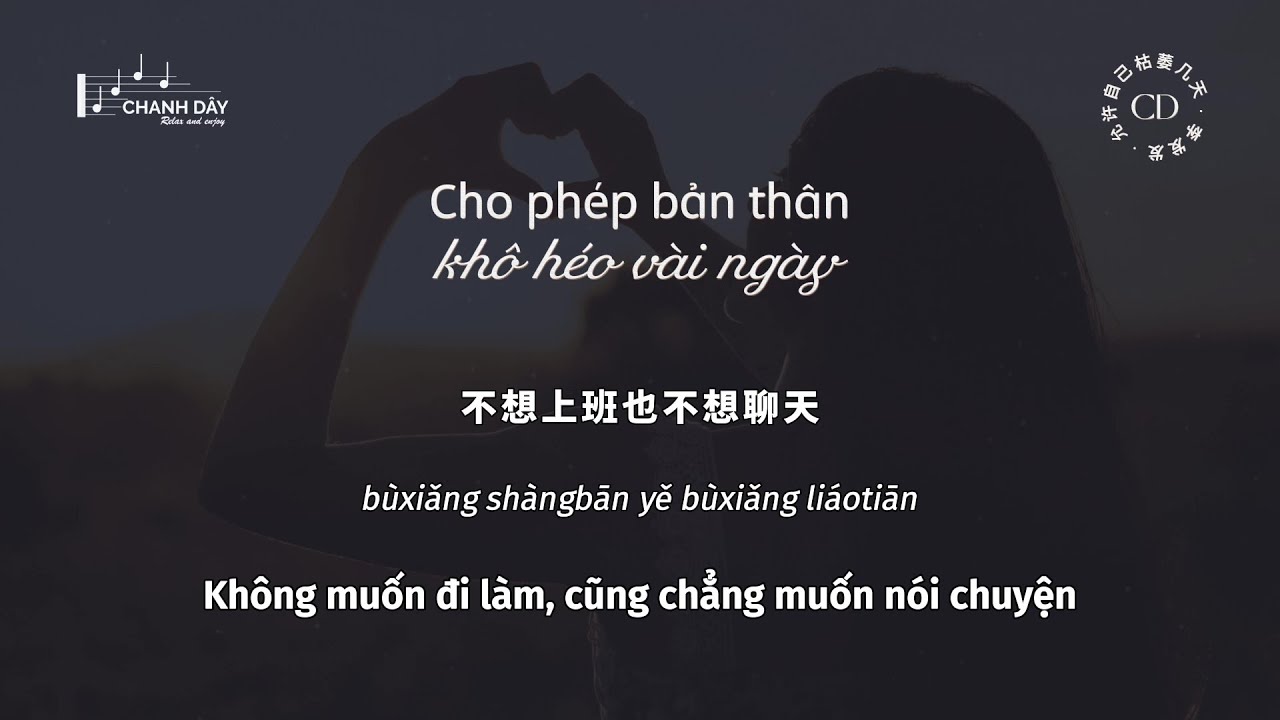 [Vietsub] Cho phép bản thân khô héo vài ngày (允许自己枯萎几天) - Lý Phát Phát (李发发)