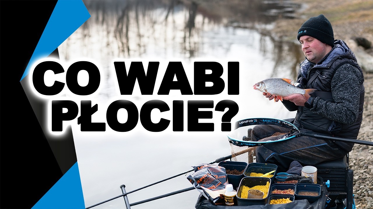 Zanęta na wiosenne płocie &ndash; sprawdzamy, co naprawdę działa