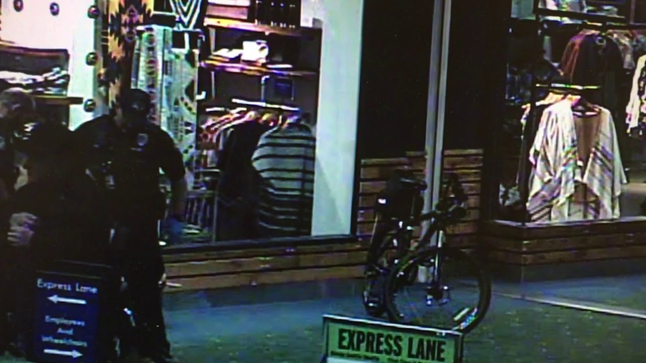 Airport police used excessive force, 'hobble hold,' Portland woman says