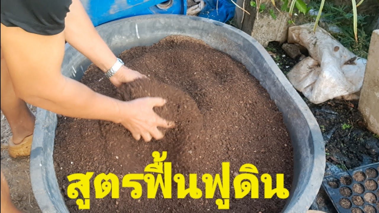 ปุ๋ยหมักสูตรฟื้นฟูดินเสียให้กลับมาเป็นดินดีที่อุดมสมบูรณ์