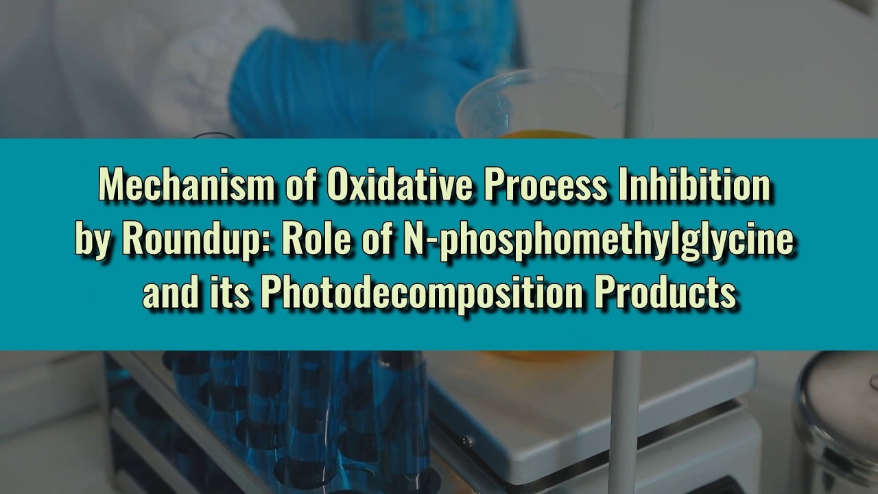 Mechanism of Oxidative Process Inhibition by Roundup: Role of N-phosphomethylglycine