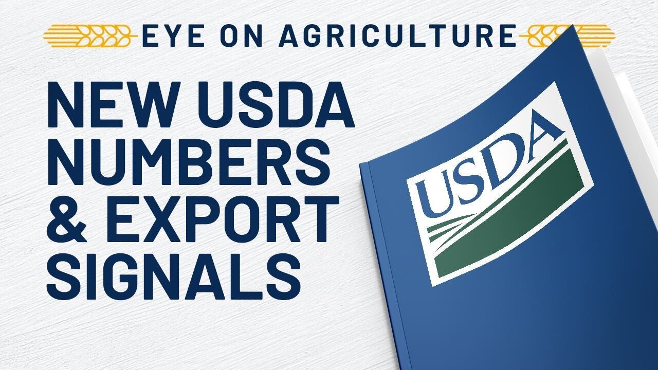 New USDA Numbers & Export Signals