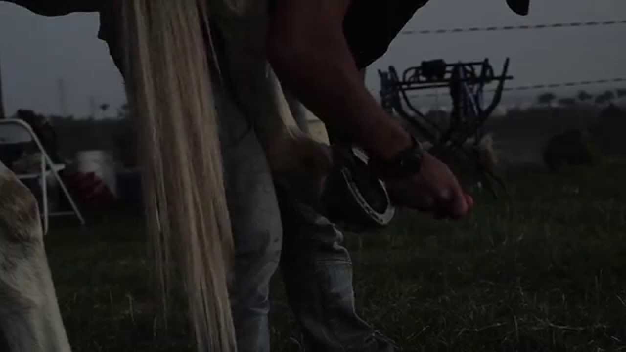 Festival Internacional Haras Albar