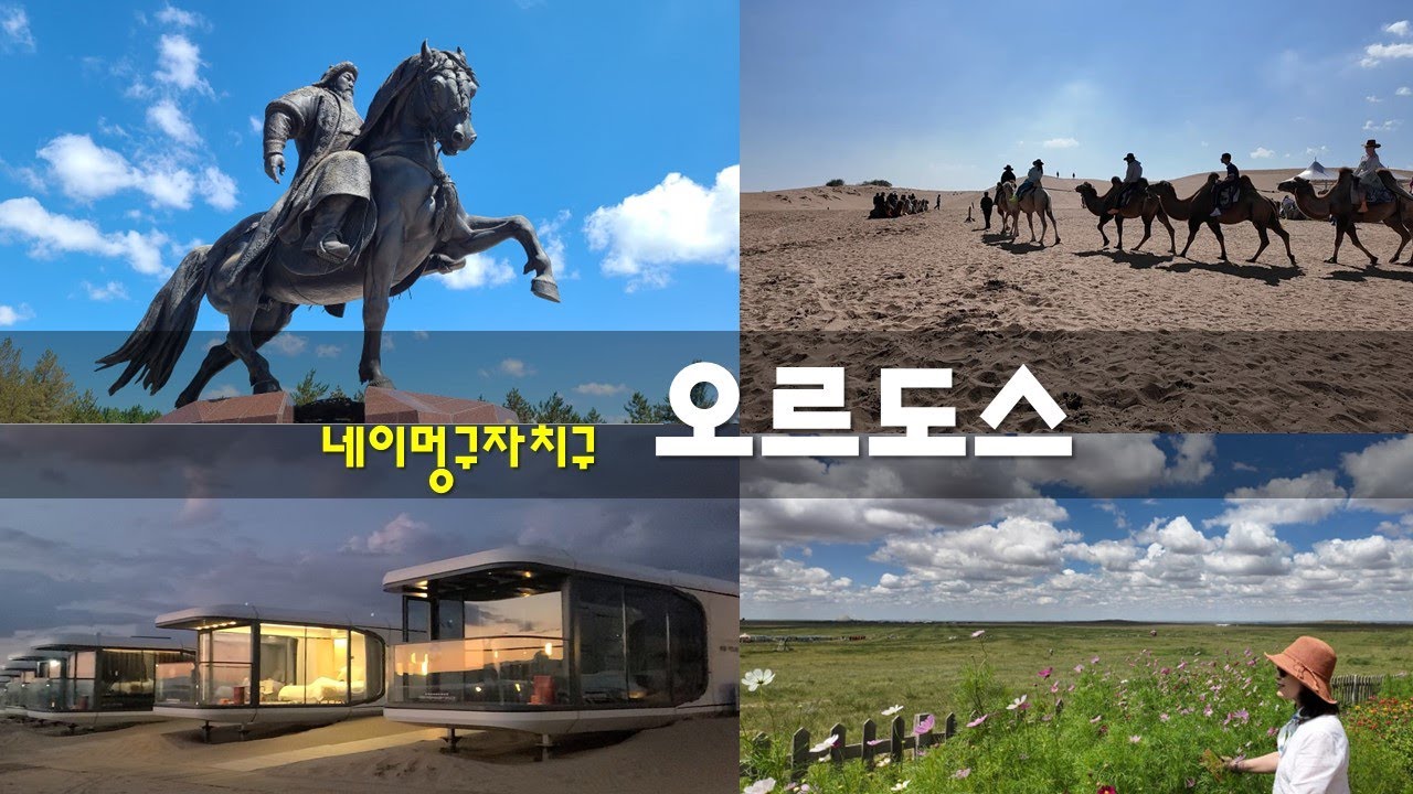 [중국 네이멍구자치구] 오르도스 #ordos #InnerMongolia #칭기스칸릉 #오르도스내몽골박물원 #인컨타라사막 #쑤붜칸초원 #세계최대분수쇼
