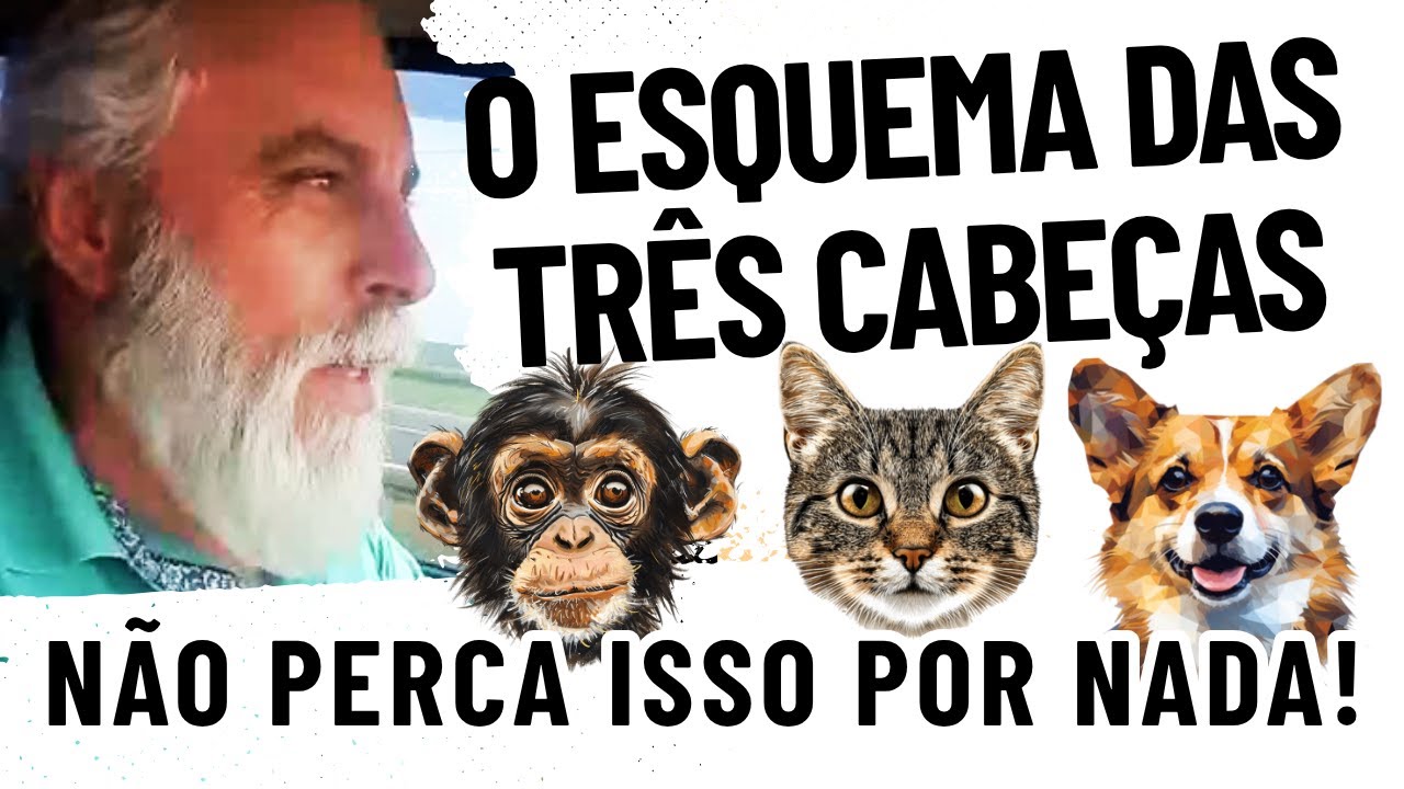 É importante saber disso para arrasar na Oratória!