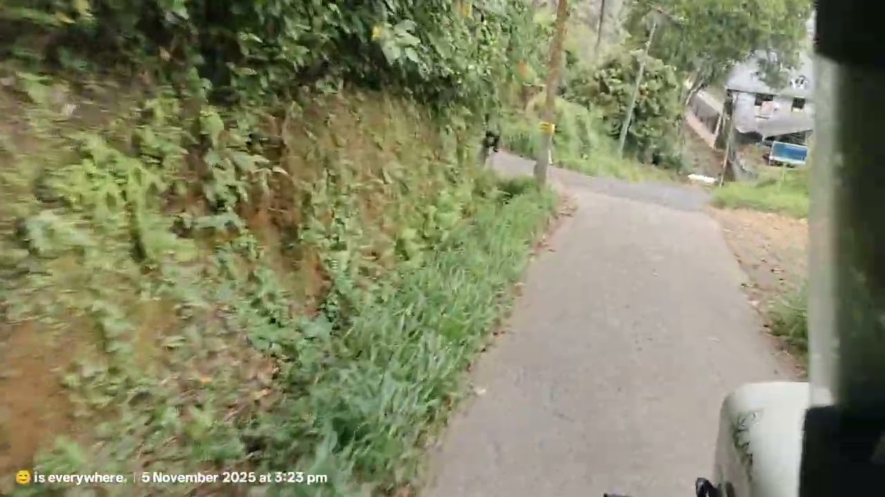 Munnar nature views-2025