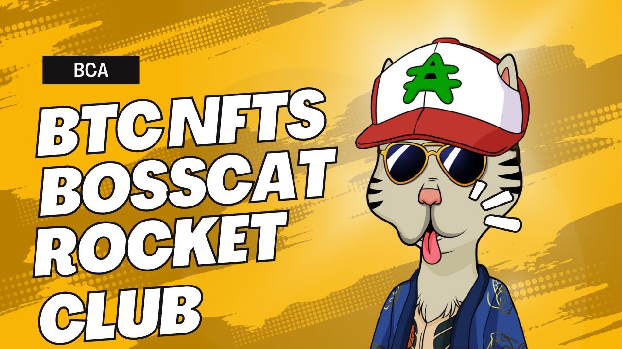 Boss Cat Ordinals! BTC NFTs