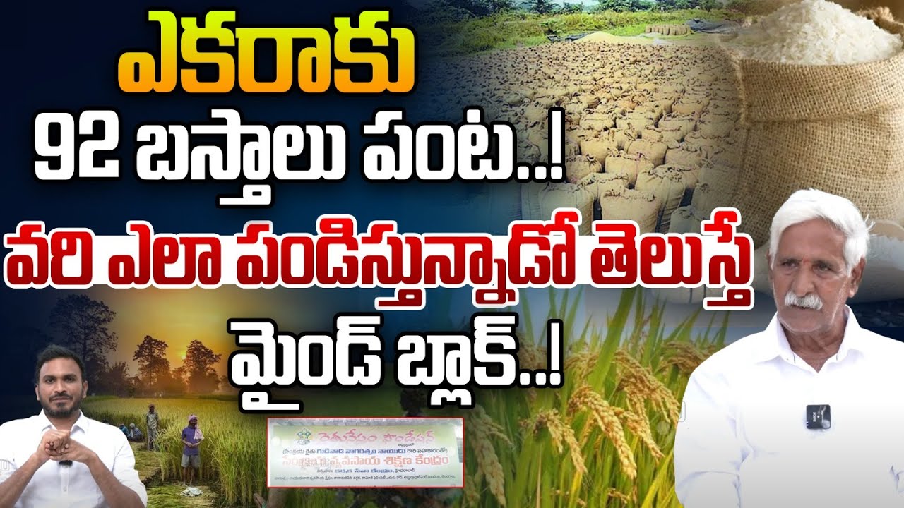 ఎకరాకు 92 బస్తాల వరి పంట! | Nagaratnam Naidu Farm House | Farming Videos In Telugu | Rythanna Nestam