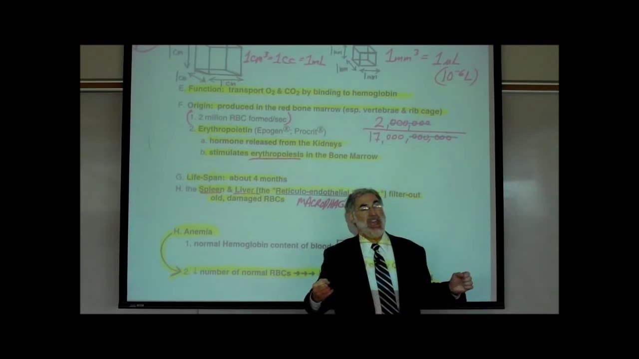 HEMATOLOGY; PART 2 by Professor Fink.wmv