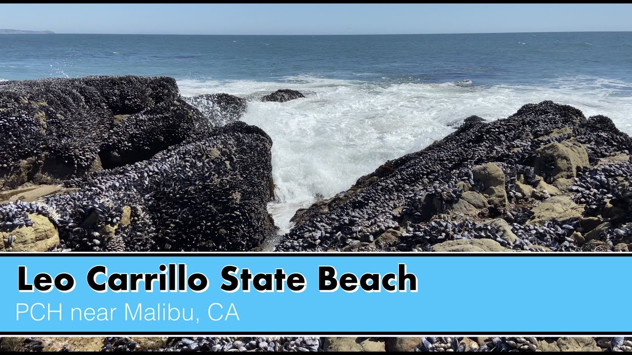 Leo Carrillo State Beach and Sea Caves - A Great Stop on PCH north of Los Angeles!