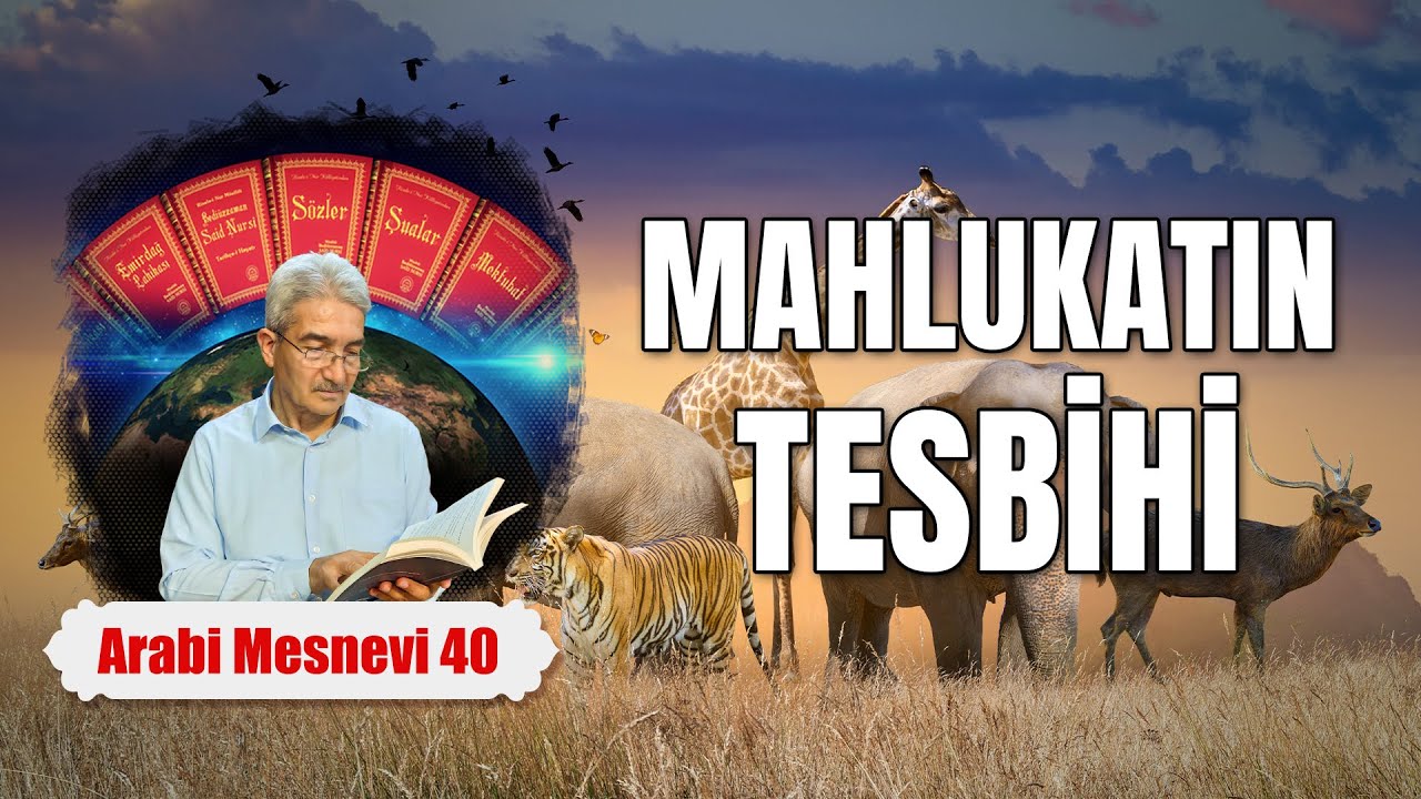 Mahlukatın Tesbihi - Mesnevi Dersleri 40