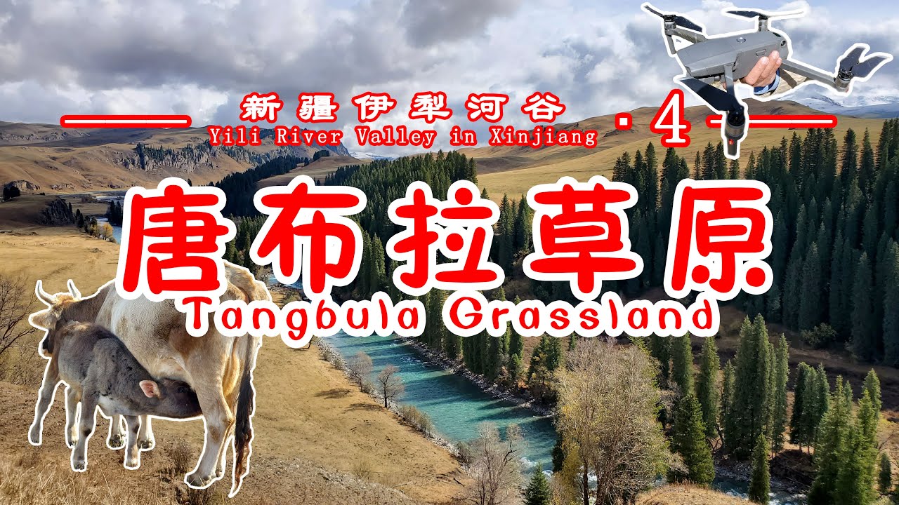 【新疆伊犁河谷▪4】自驾新疆唐布拉草原，遭遇无人机炸机和独库公路封路，最终会看到怎样的风景