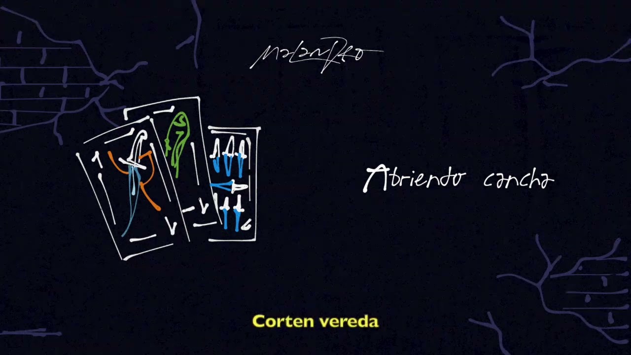 1 - Malandro - Abriendo Cancha